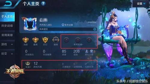 王者宋文爆料视频下载,游戏内幕大公开  第1张